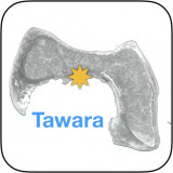 Tawara-map-icon