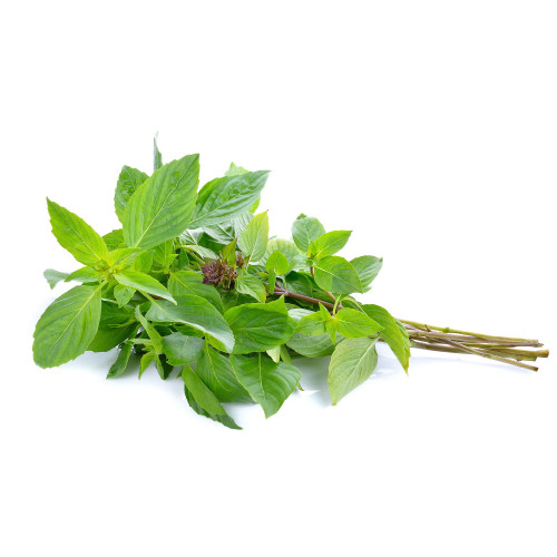 Thai-Sweet-Basil.jpg