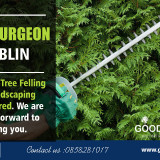 Tree-Surgeon-Dublin