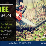 Tree-Surgeon