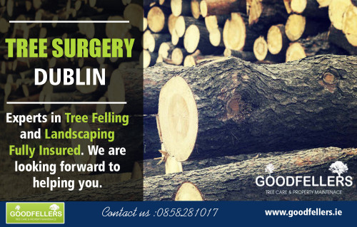 Tree surgery provides a comprehensive range of pruning services at https://goodfellers.ie/tree-surgery/

Deals In : 

Tree Surgeon Dublin
Tree Surgery Dublin
Tree Surgeons
Tree Surgeon
Tree Surgery

The title tree surgeon is sometimes alternately used with an arborist. A tree surgery professional knows how to cut bits and pieces of a tree, remove trees, and reshape them to any form. An arborist, on the other hand, understands that a tree is a living being. This person is a professional who knows about studying, managing and cultivating trees.

Address: Dunboyne

Call: 0858281017

Email: info@goodfellers.ie

social links:

https://twitter.com/treesurgeondubl
https://www.facebook.com/Tree-surgeon-dublin-1648355195242733/
https://plus.google.com/117969722688667928025
https://mastodon.social/@treesurgeondublin