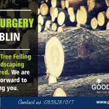 Tree-Surgery-Dublin