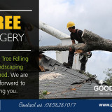 Tree-Surgery