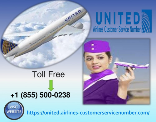 United-Airlines-Customer-Service-Number.jpg