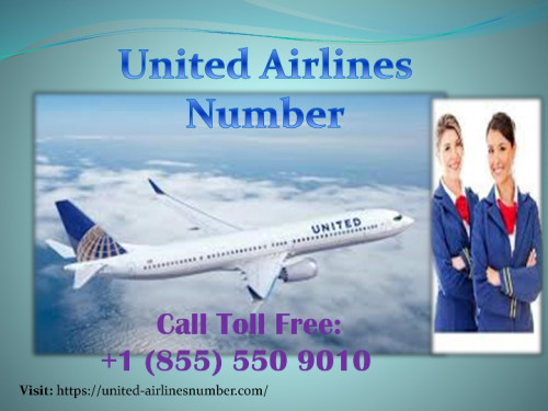 United-airlines-number.jpg