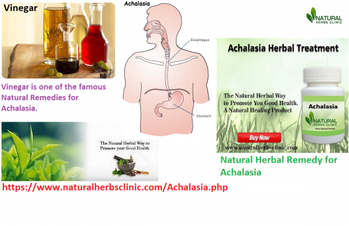 Vinegar is one of the famous Natural Remedies for Achalasia. People commonly use it for centuries in cooking and medicine for a healthy life. Vinegar has various healthful ingredients, including antimicrobial and antioxidant effects.... https://www.naturalherbsclinic.com/blog/utilize-natural-remedies-for-achalasia/