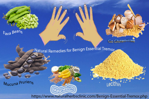 Fava Beans are a very popular element used in Natural Remedies for Benign Essential Tremor. Fava beans are a strong protein-rich with a variety of nutritional elements. The beans comprise high concentrations of thiamin, vitamin B-6, copper, vitamin K, selenium, potassium, magnesium, and zinc... http://naturalherbsclinic.website2.me/naturalremedies/natural-remedies-for-benign-essential-tremor