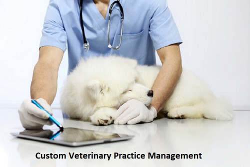 Veterinary-Software-Solutions.jpg