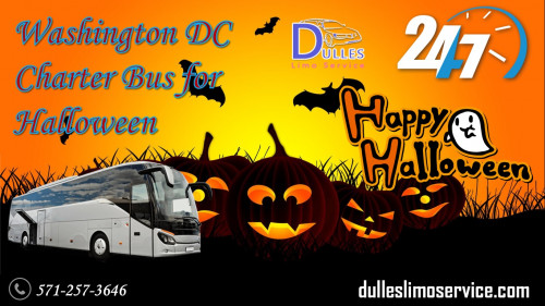 Washington-DC-Charter-Bus-for-Halloween.jpg