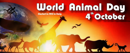 World Animal Day