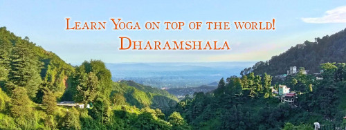 Shree Hari Yoga school in Dharamsala, India provides the best 200 hour and 300 hours of Yoga Teacher Training courses in dharamsala, India certified by Yoga Alliance.

Visit us:-https://shreehariyoga.com/dharamshala-india/