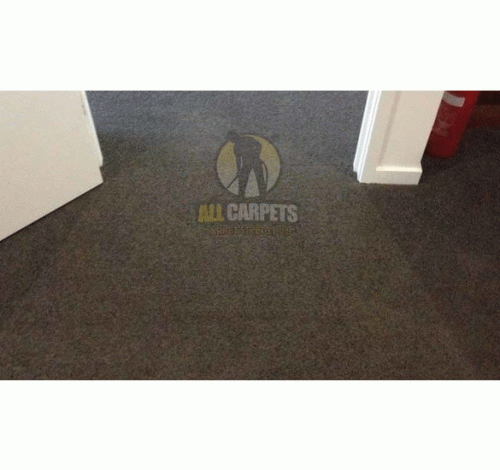 Quickly dial 1300558509 for carpet power stretching services in Gold Coast! All Carpets is a reliable service provider of carpet laying, stretching, and repairing services. For more information visit : allcarpetstretching.com.au