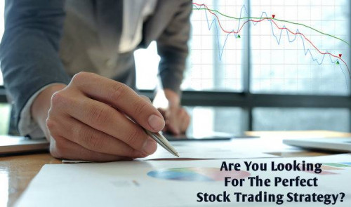 The most successful stock traders, they never had a 'perfect trading strategy'. Their graph never ALWAYS went high. They took big losses. They always improved. Know more https://bit.ly/2G6QOoF