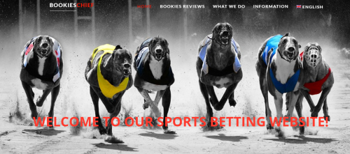 We provide the ranking of the best online bookies and best bonuses for start compare best online bookmaker, Bookies review and ranking. We offer Online Sports betting, Football betting in UK. We are guided by our personal, subjective feelings and other players’ opinions. Visit at: http://www.bookieschief.com/