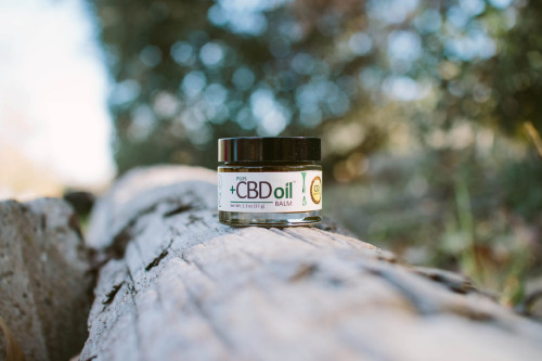 buy-cbd-plus-cbd-oil-balm-feat.jpg