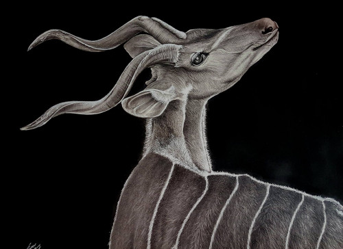 Artist creates a realistic contemporary painting with the help of charcoal on paper where he painted an alert deer who has been watching out for predators to save himself. More to know: https://www.indianartideas.in/artwork/14525