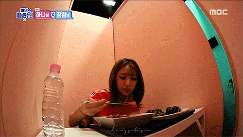 cshn1.gif
