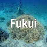 fukui-icon