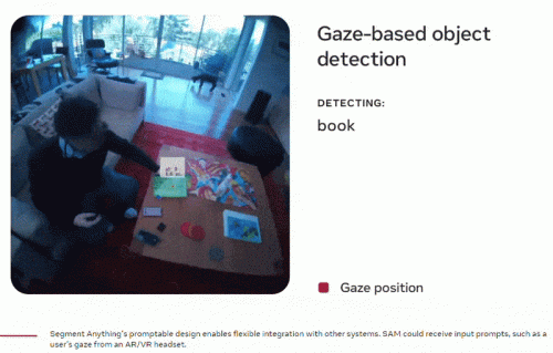 gaze1-optim.gif