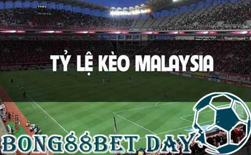 Giới thiệu tỷ lệ kèo Malaysia tại Bong88
Đây là một thuật ngữ quen thuộc đối với những cược thủ có niềm đam mê với cá độ bóng đá. Kèo được biểu thị dưới dạng âm hoặc dương dựa vào những phân tích thực lực của hai đội bóng trong trận đấu. Đơn vị tính của kèo cược này là 1.00 giống với kèo cược Indonesia.

Website: https://bong88bet.day
#bong88 #bong88bet #nhacaibong88 #bong88nhacai #keomaylaysia #cacuocbongda