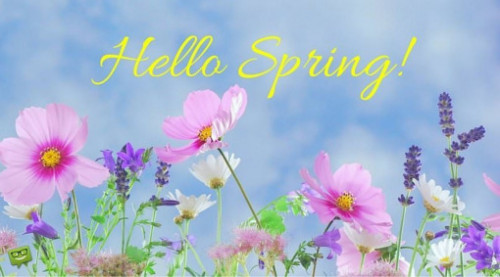 Hello spring 2