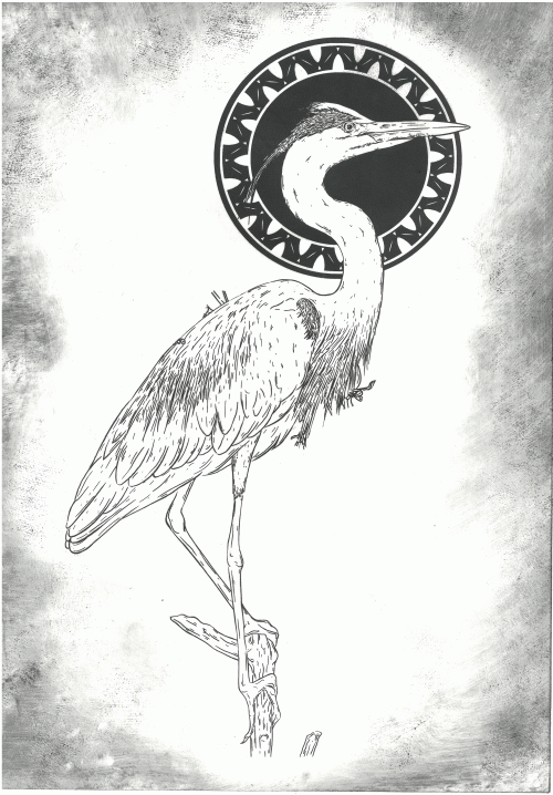 Heron