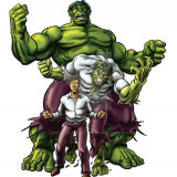 hulk_transformation_by_simon_williams_art-d175rks