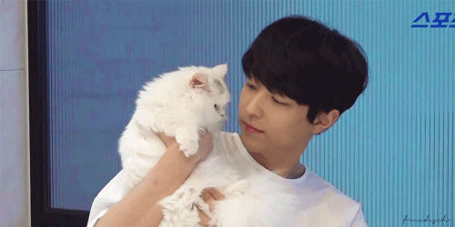 lyj.gif