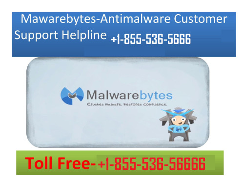 malware--support-number-1-855.jpg