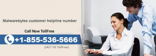 Dial our Malwarebytes Support Number +1-855-536-5666 for further inquiries on the issue. Our highly talented professionals are eager to hear from you. Our cutting-edge troubleshoot framework is designed to counter all type antivirus anomalies with ease. more info visit here:- https://www.malwarebyteshelpline.com/  for support click here:- https://www.customerhelplinesupport.com/malwarebytes-technical-support.html