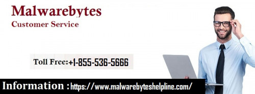 Dial our Malwarebytes Support for further inquiries on the issue. Our highly talented professionals are eager to hear from you. Our cutting-edge troubleshoot framework is designed to counter all type antivirus anomalies with ease. To make an quick appointment, make sure to call our experts on toll-free line +1-855-536-5666 now. We will be pleased to help. for more info click here:- https://www.malwarebyteshelpline.com/ for support click here:- https://www.customerhelplinesupport.com/malwarebytes-technical-support.html