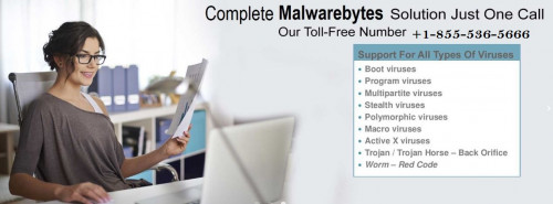 If you have any issues regarding malwarebytes software, just dial our toll-free number +1-855-536-5666. or for more info please click here:- https://www.malwarebyteshelpline.com/resolve-malwarebytes-error-codes-issues-simple-methods/