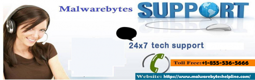 We are committed to rendering quick and easy support on all sort of antivirus glitches. The user needs to connect with our experts via Malwarebytes customer service toll-free line +1-855-536-5666, email, and instant chat option. visit here:- https://malwarebyteservice.blogspot.com/2019/04/malwarebytes-support-how-to-get-easy.html