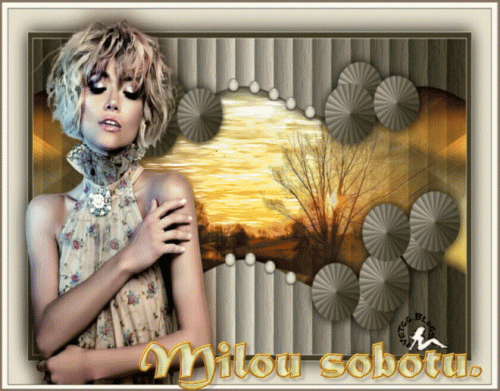 milou-sobotuc20a2c30ba7e9c04.gif