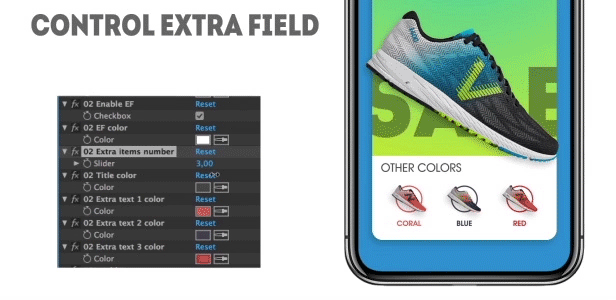 nb-control-extra-field.gif