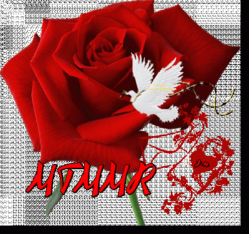 nhzbbb