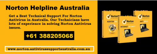 norton4b96f966bb6554a6.png