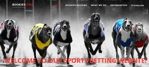 We provide the ranking of the best online bookies and best bonuses for start compare best online bookmaker, Bookies review and ranking. We offer Online Sports betting, Football betting in UK. We are guided by our personal, subjective feelings and other players’ opinions.
Visit us:-http://www.bookieschief.com/