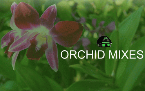 Green Barn Orchid Supplies is popular for the best in gardening product service provider. It provides Orchid Mixes to grow orchid plants. We also offer variety orchid mixes such as hydroton, tree fern, fir bark, sphagnum moss. We are located in Florida, USA. If you want to shop these products, then order online by visiting our website! For more information, call at (561) 499-2810.or visit our website: https://shop.greenbarnorchid.com/category.sc?categoryId=2