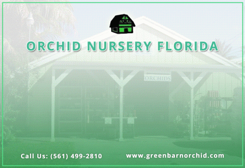 Orchid Supplies Florida need to grow lovely, healthy orchids Ideal for indoor or outdoor use and colored green to blend nicely with the foliage. We carry a variety of orchid supplies to make growing and repotting your prized plants as easy and as rewarding as possible. Green Barn Orchid Supplies is a big Orchid Nursery Florida, USA. Here you can shop all the gardening products to grow orchid plants. Order online now! To know more details, call at (561) 499-2810 or visit our website: https://www.greenbarnorchid.com/