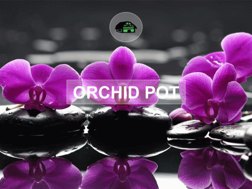 Green Barn Orchid Supplies is popular for the best in gardening product service provider.  It is located in Delray Beach, Florida. In our store, you can get all size of the orchid pot in different materials like clay and plastic and grapevine and many more. Place your order now! Contact: (561) 499-2810.
