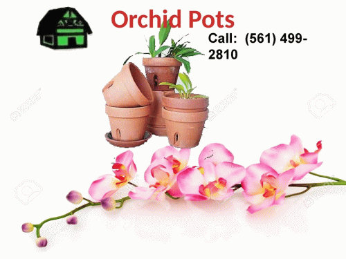 Are you looking for the best and unique Orchid Pot for your garden? Green Barn Orchid Supplies provide the beautiful Orchid Pots to grow your orchid plants. We also offer a variety of gardening products such as pots, baskets, mixes and many more products to your beautiful orchid plants. It is located in Delray Beach, Florida. If you want to shop these products, then order online by visiting our website! For more information, call at (561) 499-2810. See more at          https://shop.greenbarnorchid.com/category.sc?categoryId=3