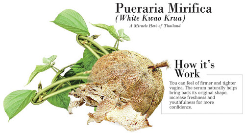 pueraria-ingredientsd3e15394c9ecb6cc.jpg