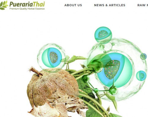 The belief in the rejuvenating properties of Pueraria Mirifica benefit has been passing down from one generation to another. A Magical plant from northern Thailand
visit us:-https://www.puerariathai.com/puerararia-mirifica-benefit/