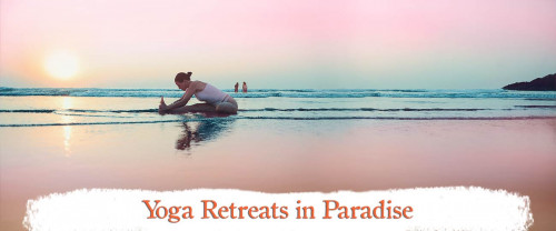 Experience the best Yoga retreats in India at Shree Yoga School at 3 beautiful locations - Dharamsala, Goa and Gokarna.

Visit us:-https://shreehariyoga.com/yoga-retreats/