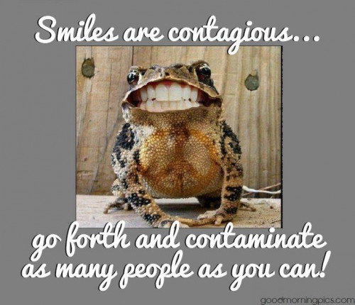 smiles-are-contagious-frog.jpg