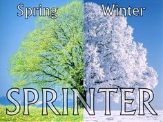 spring-winter.jpg