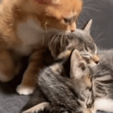 stickyscratch-___CJM0x_qFBKc___-_1