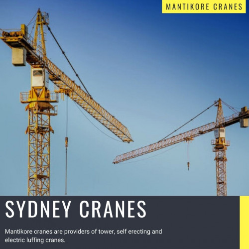 sydney-cranes-1.jpg