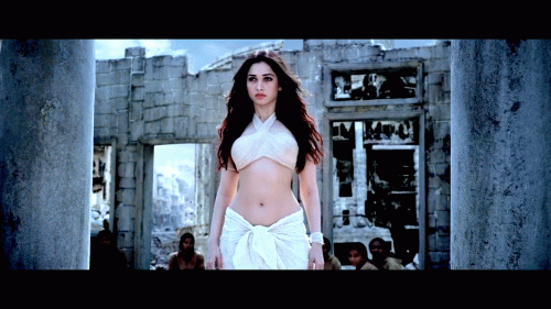 tammu.gif